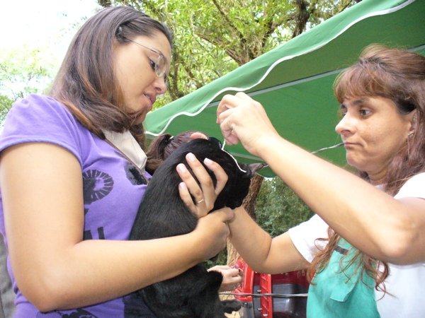 foto-cantinho-1