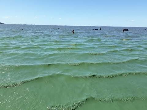 Corsan diz que não provocou ‘coloração esverdeada’ na Lagoa dos Barros