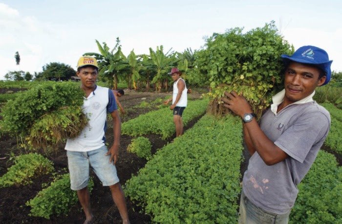 Mais de 300 candidatos assumem compromisso com agroecologia nos municípios