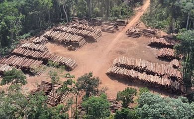 Balsa levou PF à maior apreensão de madeira ilegal na Amazônia