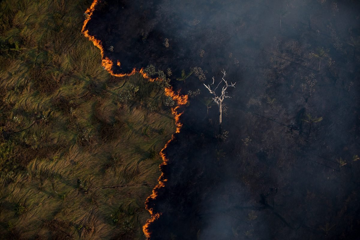 Congresso derruba vetos presidenciais à legislação ambiental