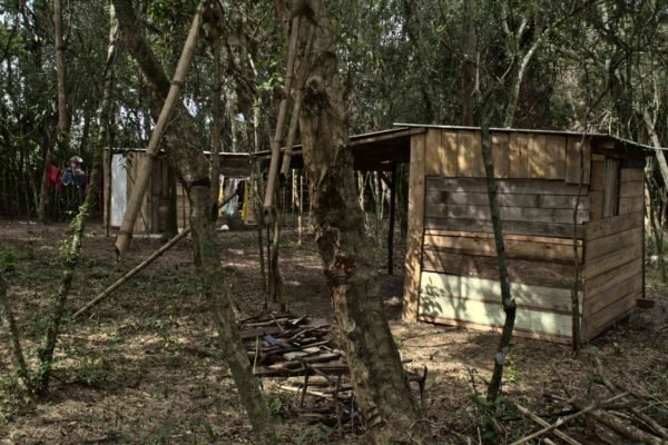 Invasores montam barracos e desmatam território indígena no Lami, em Porto Alegre