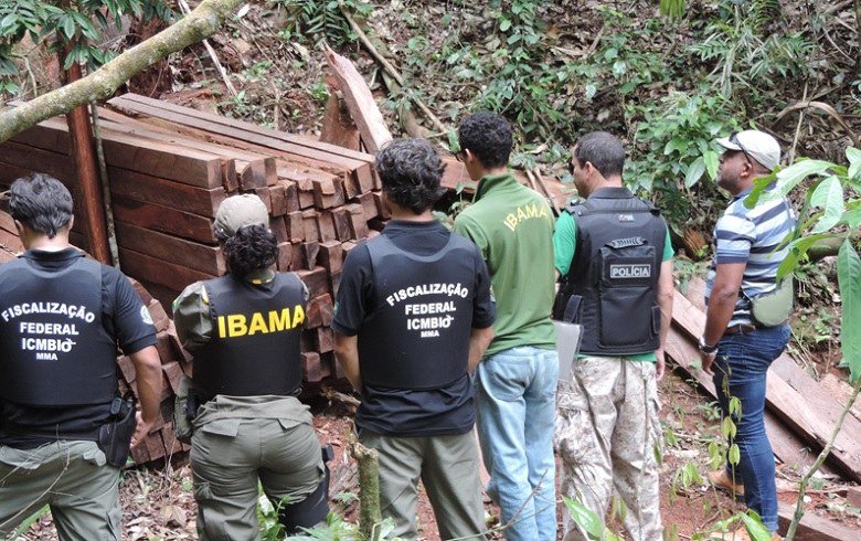 Três inquéritos vão investigar ações do governo Bolsonaro na área ambiental