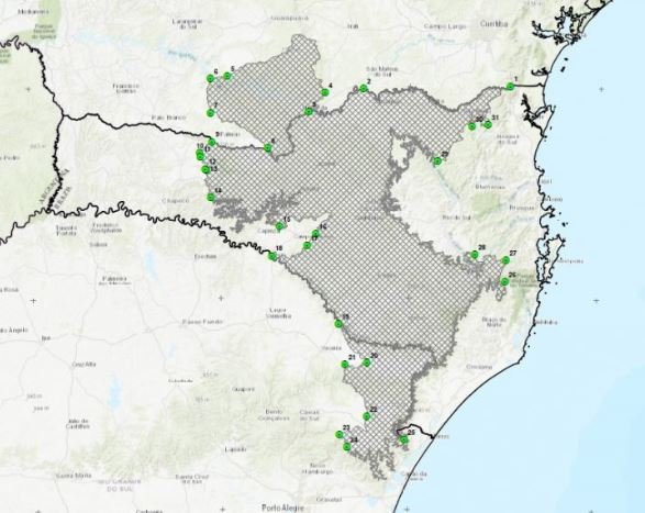 O Planalto Sul agora é Denominação de Origem do mel de melato de bracatinga