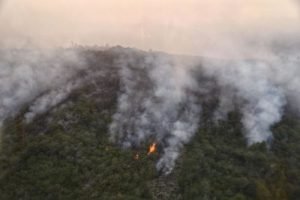 Incêndios destruiram 300 mil hectares de florestas na Argentina em 2021