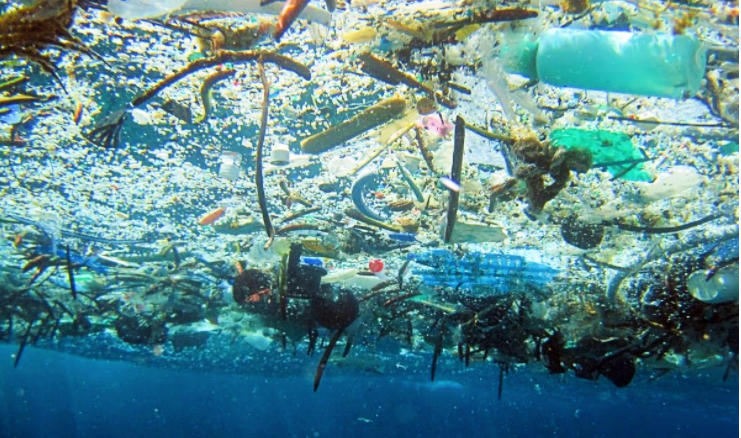 157 países encaram a guerra à poluição plástica na Assembleia da ONU para o Meio Ambiente