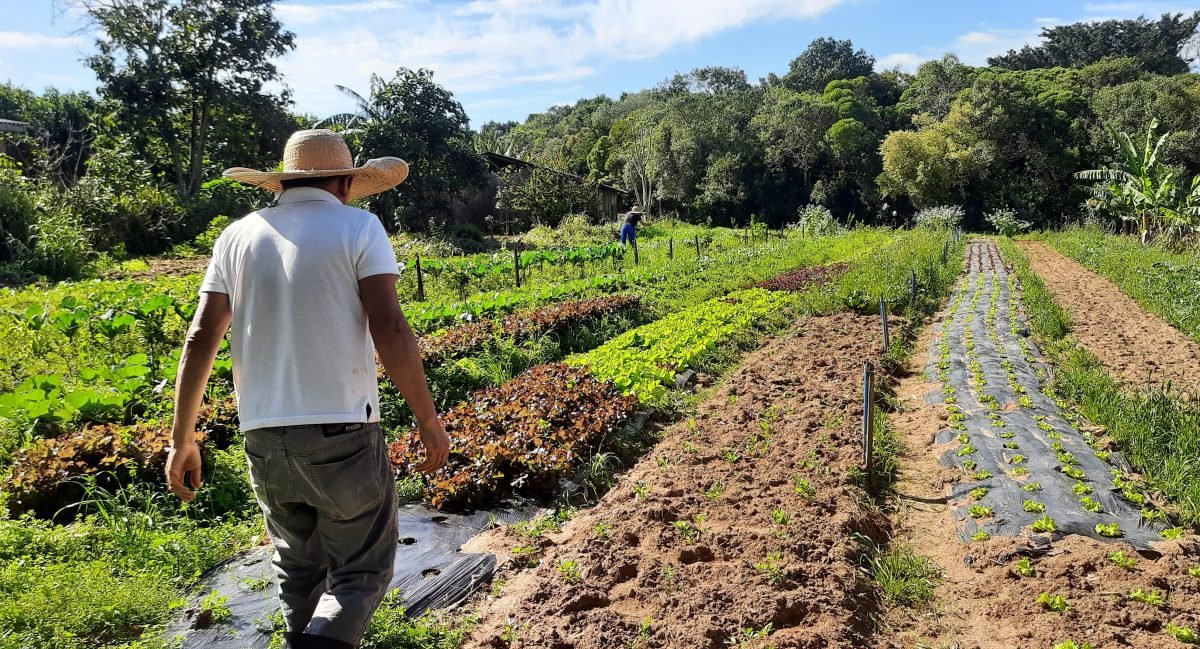 Travessia de Viamão (2): Programa alia produção de alimentos a práticas socioambientais