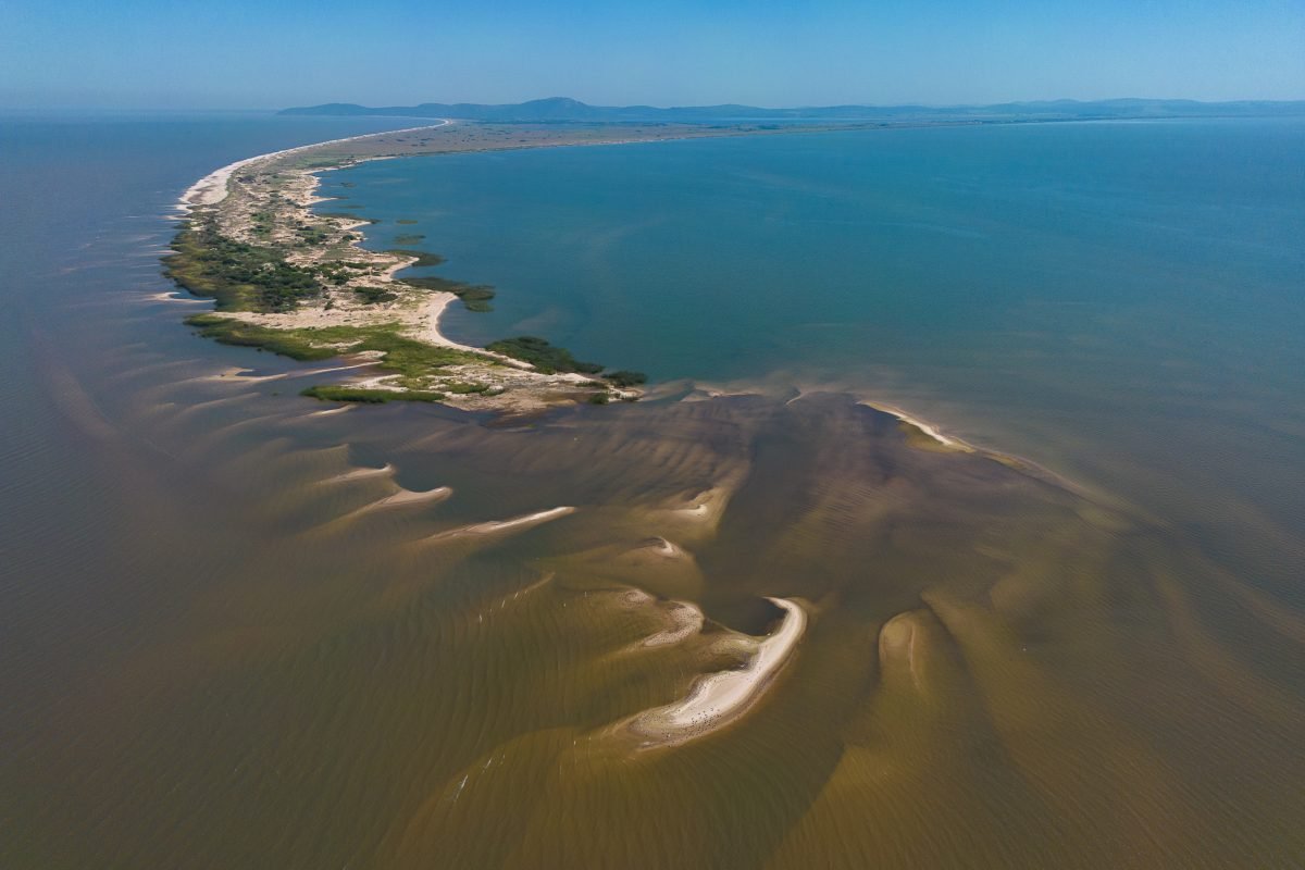 Travessia de Viamão (4): Aos 50 anos, Parque de Itapuã é um ‘santuário’ da biodiversidade