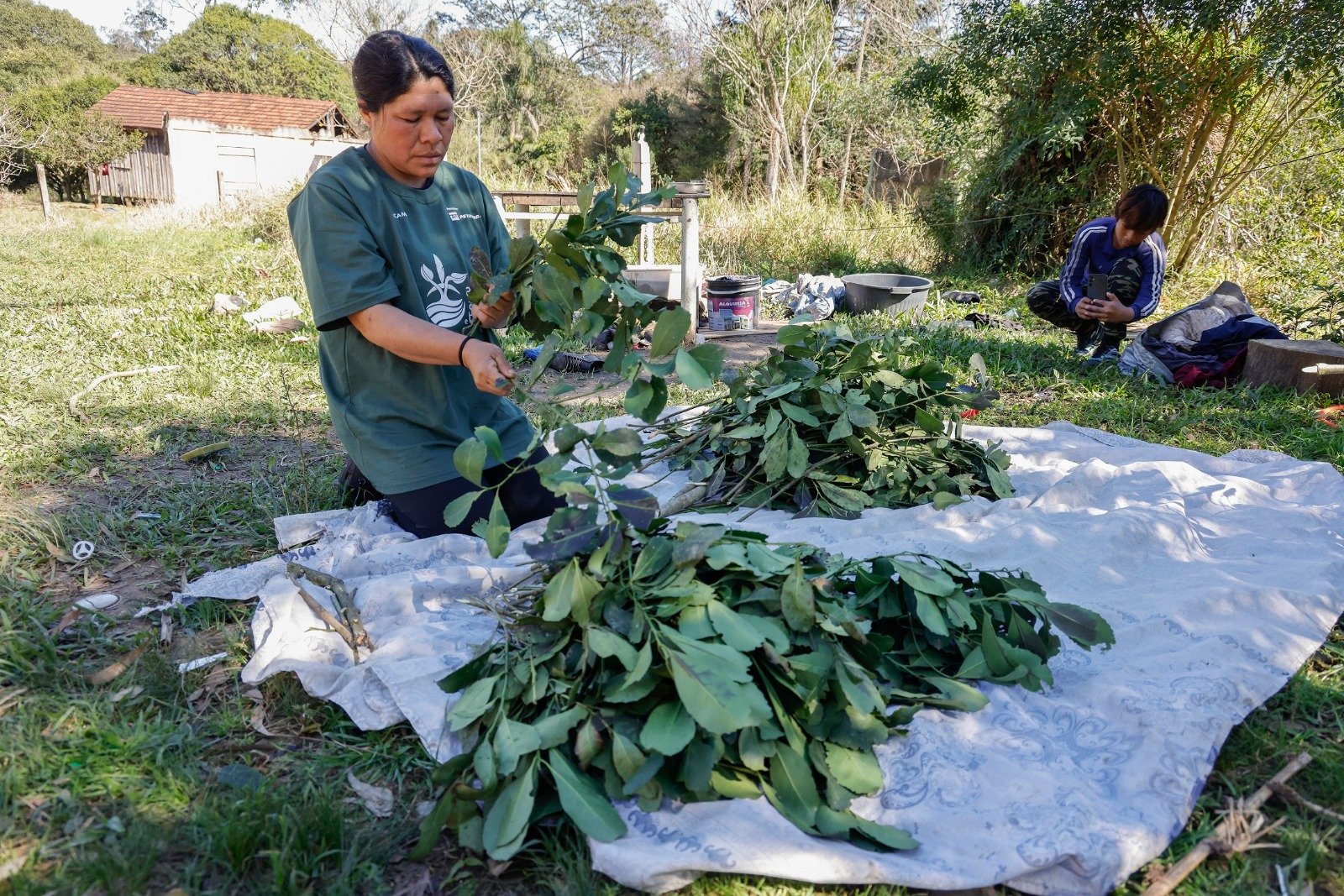 Aldeia Mbyá Guarani de Porto Alegre faz seu primeiro Carijo tradicional ...