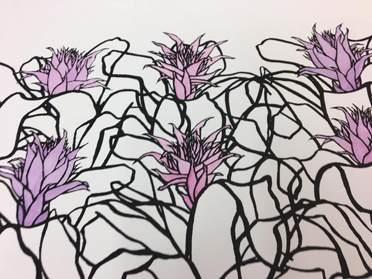 Gravura aquarelada doada por Roseli Jahn possibilita compra de 60 cestas básicas