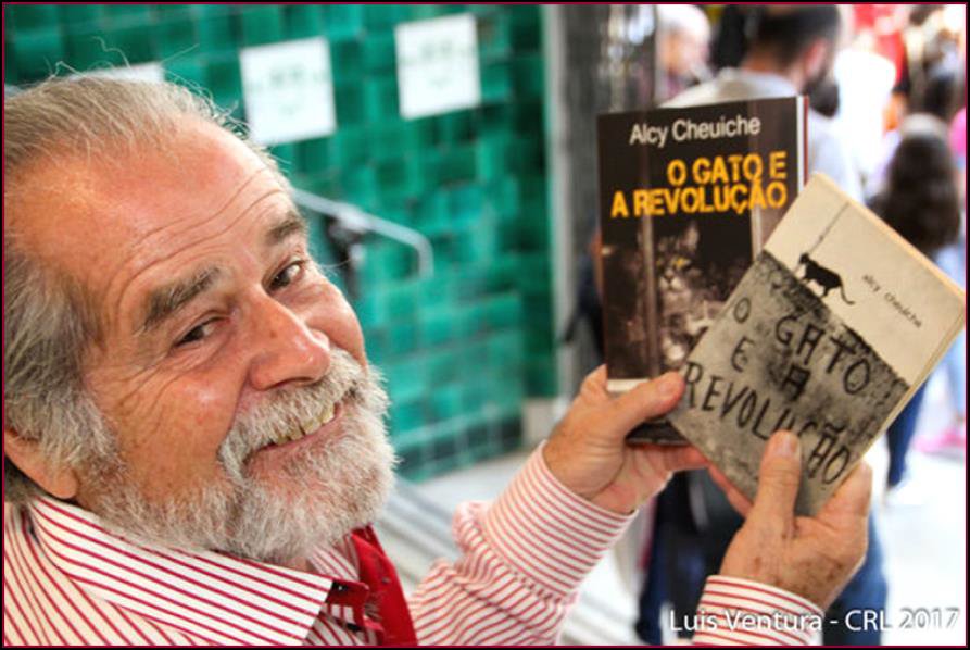 Técnicas essenciais na arte de escrever romances