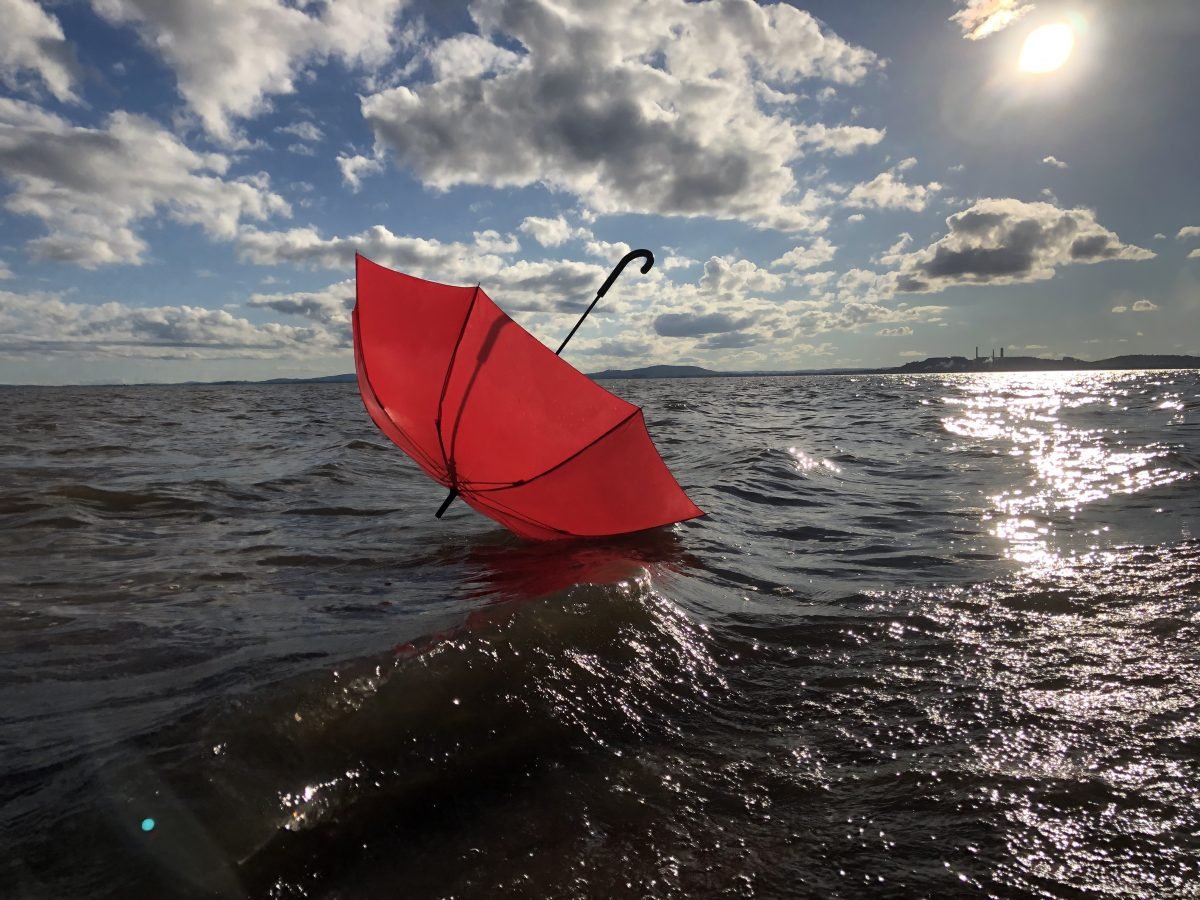 Fotos e gravuras de um calendário premiado: exposição abre na quinta