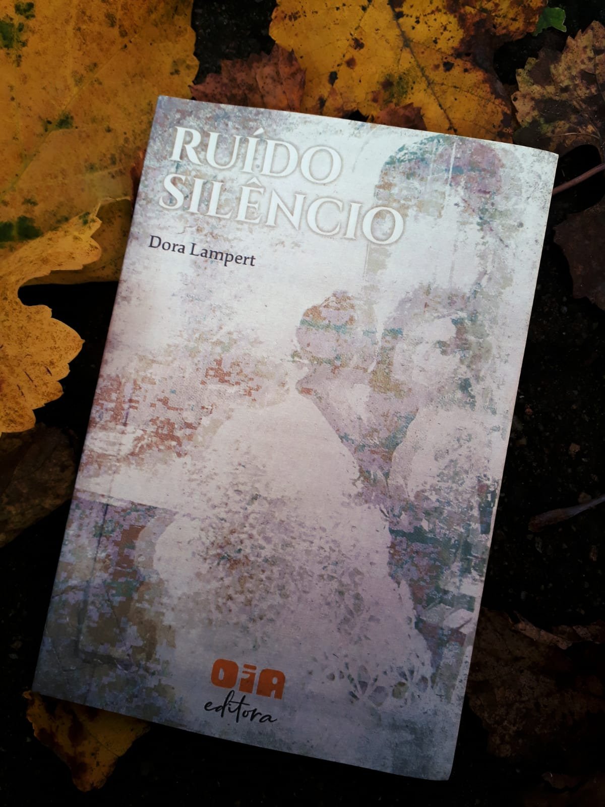 “Ruído Silêncio – Poesias”, por Dora Lampert, comprova a força da poesia feminina gaúcha