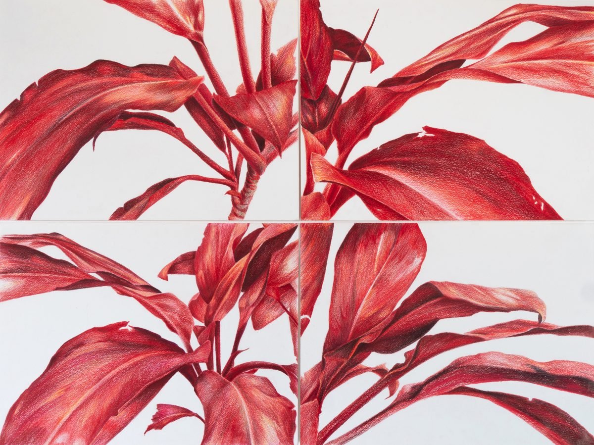 ‘Desenho’, a nova exposição de Amelia Brandeli. com a sutil dramaticidade das cores.