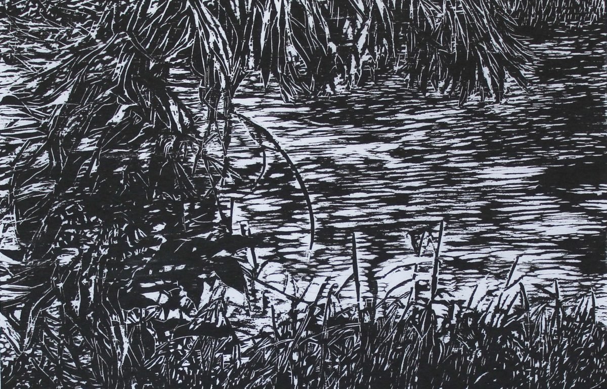 Em tempo de enchente, Galeria 506 expõe “Topografias da Natureza” da artista Lurdi Blauth