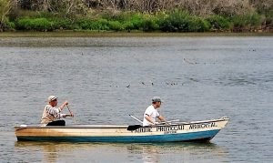 Zoobotânica captou 150 milhões de dólares nas últimas duas décadas