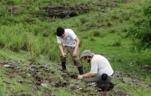 Atuação da FZB garante isenção e economia ao Estado, diz biólogo