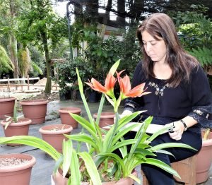 Jardim Botânico é um museu vivo com mais de 4 mil plantas nativas
