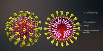 Primeiro caso de coronavirus confirmado no Rio Grande do Sul