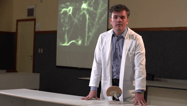 Cientista mineiro desenvolve vacina para dependentes de drogas