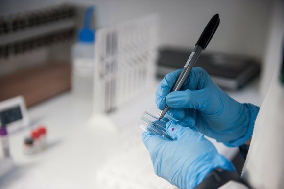 Pesquisa apresenta a atuação das universidades no combate à Covid-19