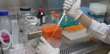 Brasil tem dois grupos de pesquisa na corrida pela vacina contra a covid-19