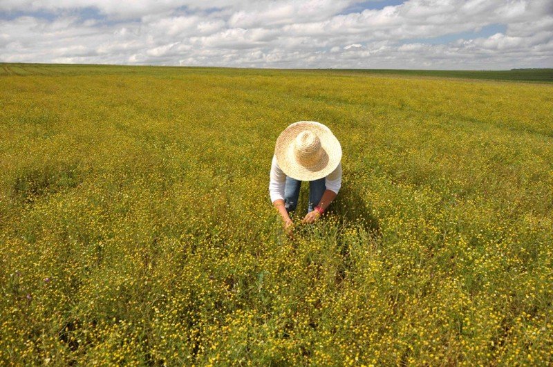 Produtores gaúchos devem menos, embora metade tenha renda de até R$ 2 mil por mês
