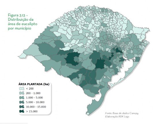 RS é o segundo que mais desmatou para plantar: nova fronteira agrícola é o pampa