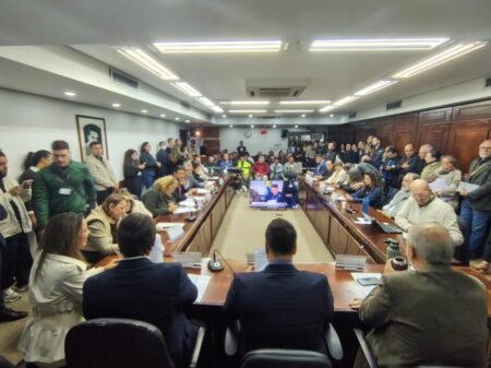 Audiência pública na Assembleia amplia debate sobre a nova fábrica de celulose