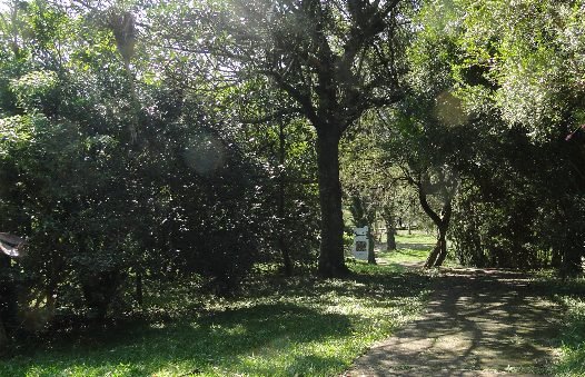 Todas as espécies estão identificadas no JB de Porto Alegre/Cleber Dioni