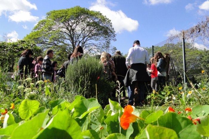 Pesquisadores de plantas medicinais no Horto do Jardim Botânico / Foto Divulgação FZB