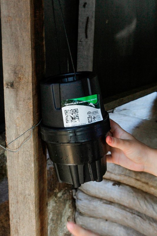 Armadilha ajuda na captura e monitoramento do mosquito fêmea. Foto: Cristine Rochol/PMPA