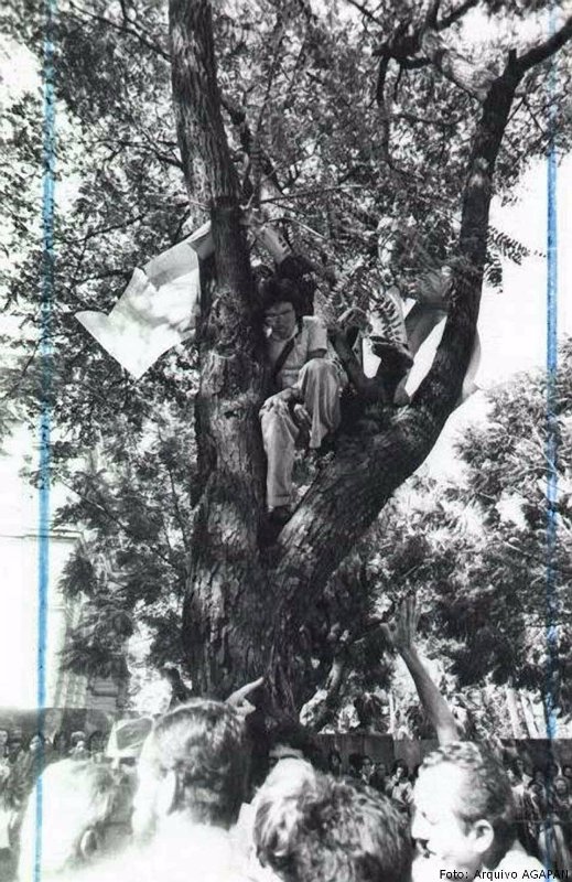 Na década de 1970, estudante carlos Dayrell subiu em tipuana lara evitar sua derruabda / Acervo Agapan