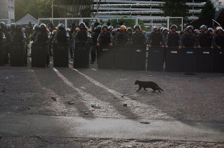 2016.12.19 - Porto Alegre/RS/Brasil - Ato de black blocs na praça da Matriz é dispersada pela Brigada Militar. Foto: Ramiro Furquim/Jornal Já