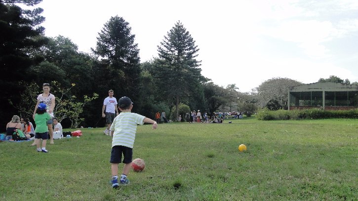 fundacao-zoobotanica9_cleberdioni