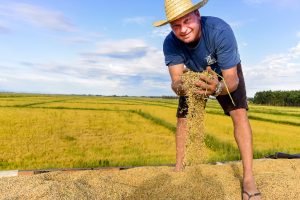 Foto Tiago Giannichini