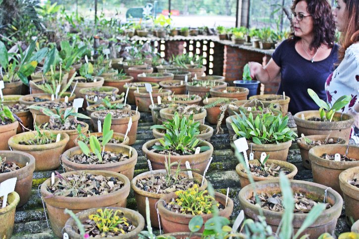 As biólogas Josy Matos e Natividad Fagundes com a coleção de orquídeas