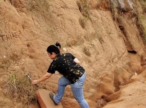 Pesquisadora da FZB encontra fósseis em estrada que terá obras do DAER