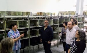 Juiz faz inspeção antes de decidir sobre Fundação Zoobotânica