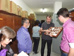 Juiz deve decidir em outubro sobre Fundação Zoobotânica