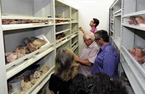 Juiz realizou duas inspeções no Jardim Botânico e no Museu de Ciências Naturais