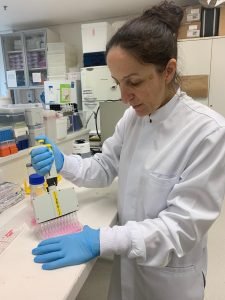 Veneno de cobra para curar câncer? É o que cientistas gaúchos estão pesquisando