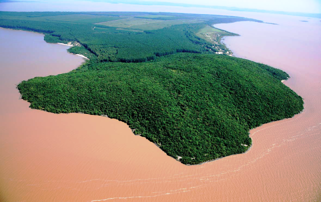 Bióloga aponta falhas técnicas no estudo de impacto ambiental da nova fábrica de celulose em Barra do Ribeiro