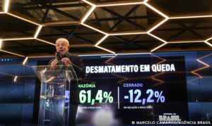 Desmatamento na Amazônia cai 61% em maio e faz prever menor taxa anual já registrada