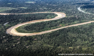 Holanda investe 500 milhões de dólares em fundo florestal criado pelo Brasil