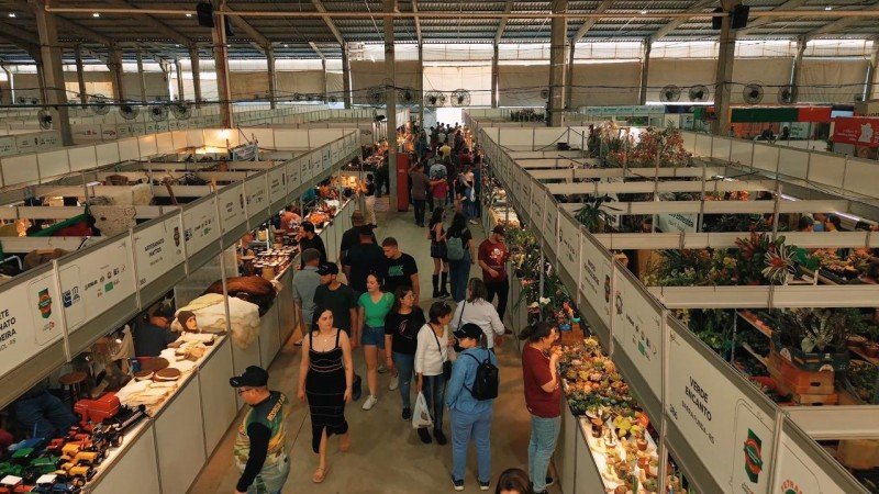 Expointer: Conab anuncia R$ 500 milhões em compras da agricultura familiar